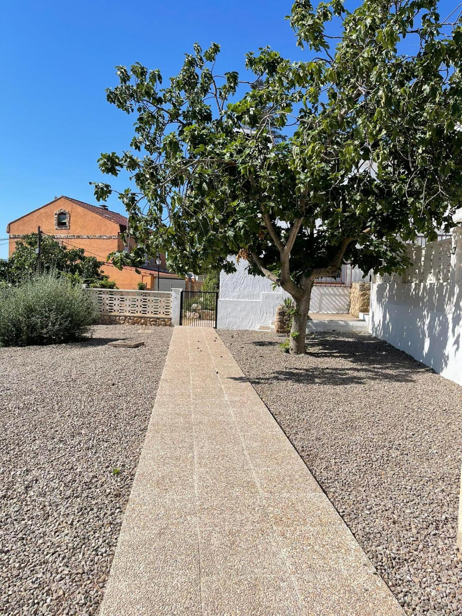 Djm Palms - Shared Casa Rural - Casa Rural Compartida - No Es Una Casa Privada Ayora Exterior foto